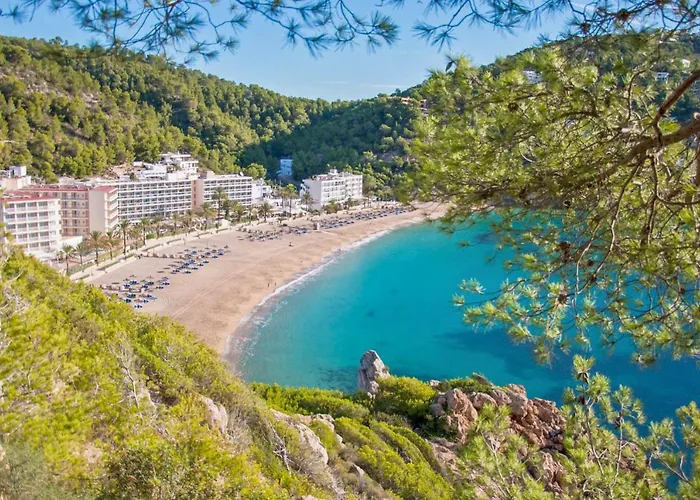 - 4079-58 Mallorca * بورت دي بوينسا